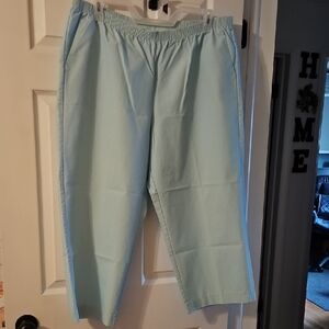 Alfred Dunner Women's Light Blue Cropped Pants